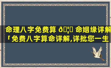 命理八字免费算 🦁 命姻缘详解「免费八字算命详解,详批您一生的命运」